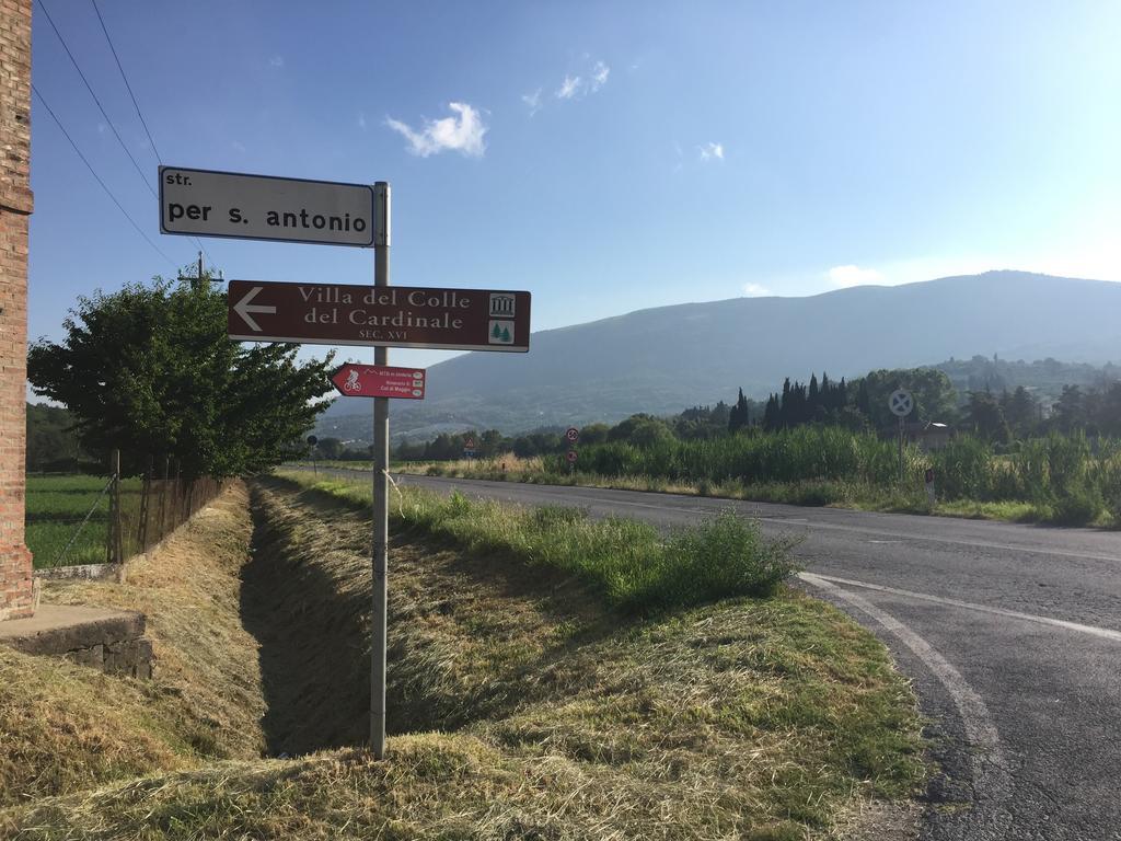 Rosso Porpora Villa Colle Umberto  Kültér fotó