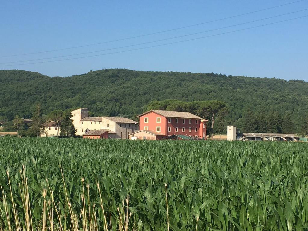 Rosso Porpora Villa Colle Umberto  Kültér fotó